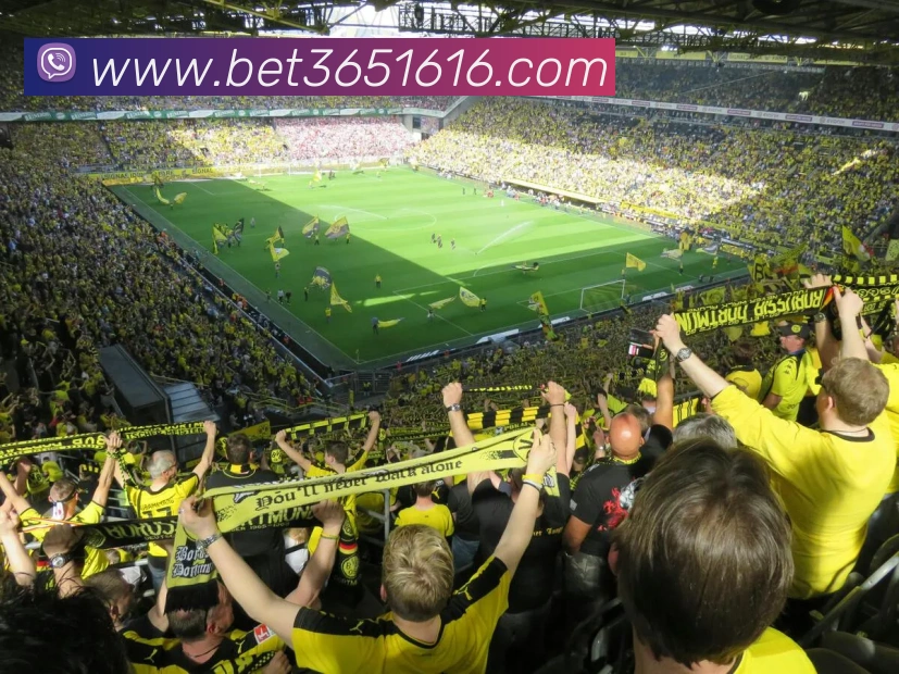 bet365中国官网APP 封面图